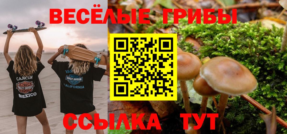 Реж  Галлюциногенные грибы Psilocybe  Галлюциногенные грибы MAGIC MUSHROOMS  Вход с VPN 